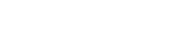 Nastee White Logo