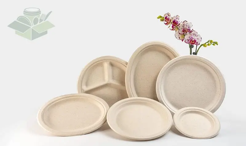 Sugarcane Plates