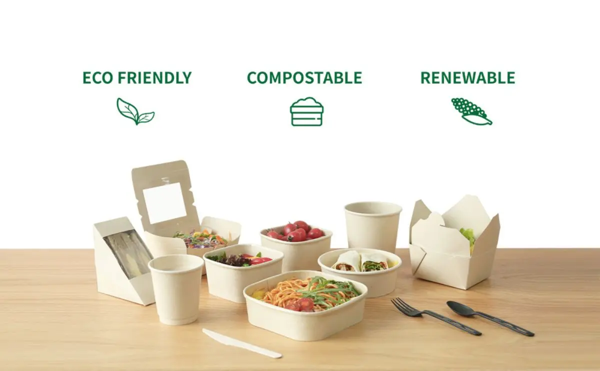 food packaging and food containers